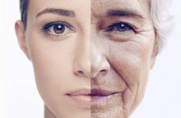 4 типа старения и их различия